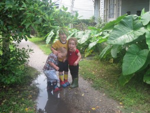 Muddy Trio