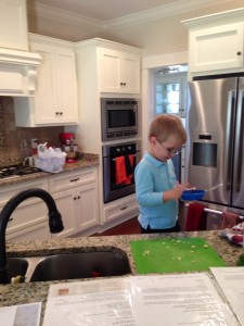 Mother's Helper